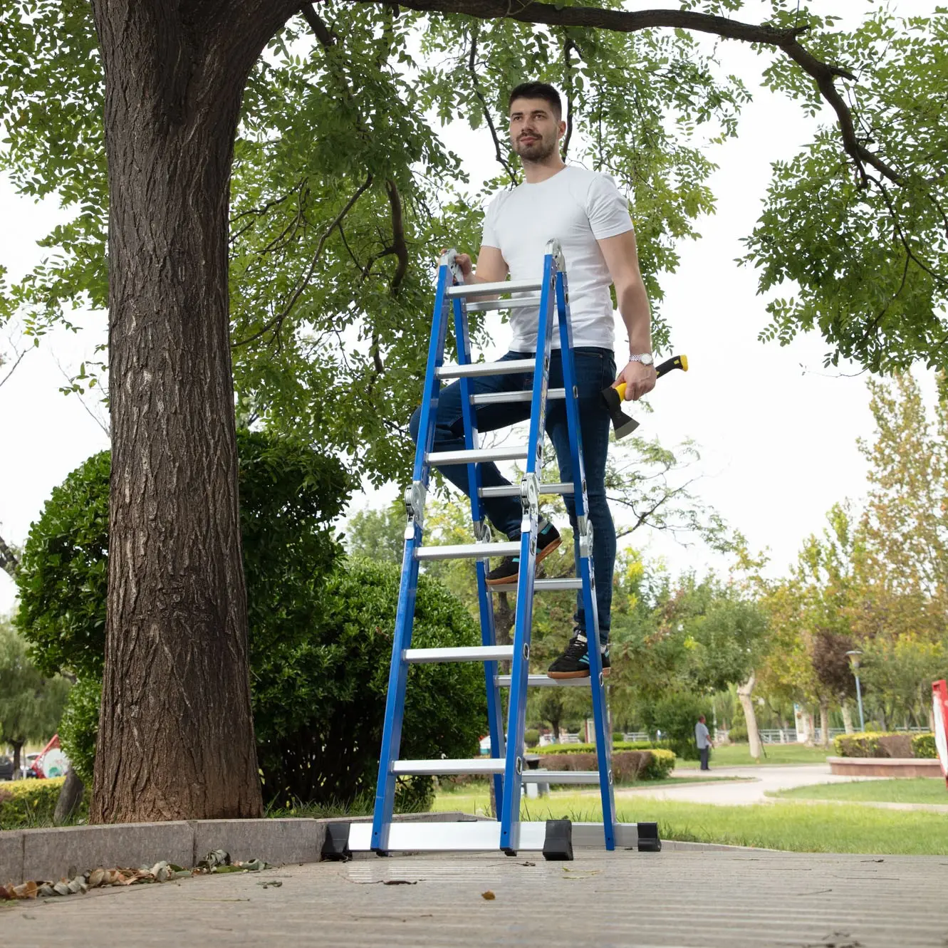 What is the best ladder for home use?